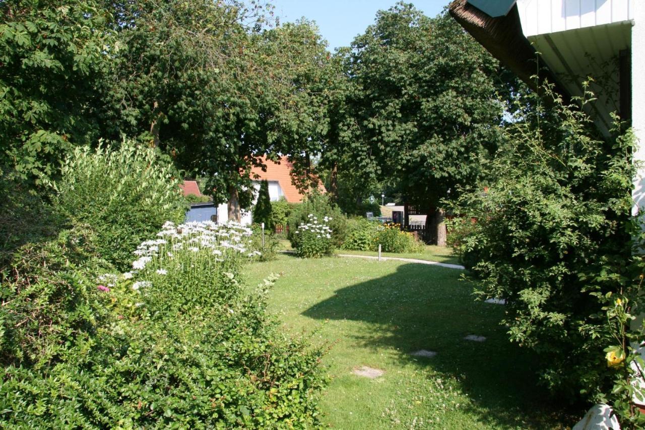 Strandstuebchen Apartman Zingst Kültér fotó